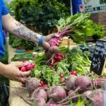 Outdoor Farmers Markets Across the SouthCoast to Check Out this Summer