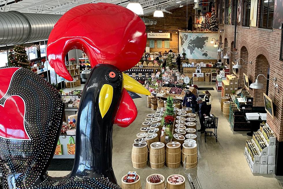 There’s an 11Foot Portuguese Rooster in Fall River With a New Name and