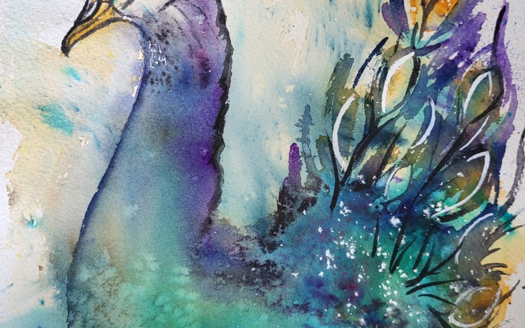 Exotic Peacock- Watercolor for Beginners