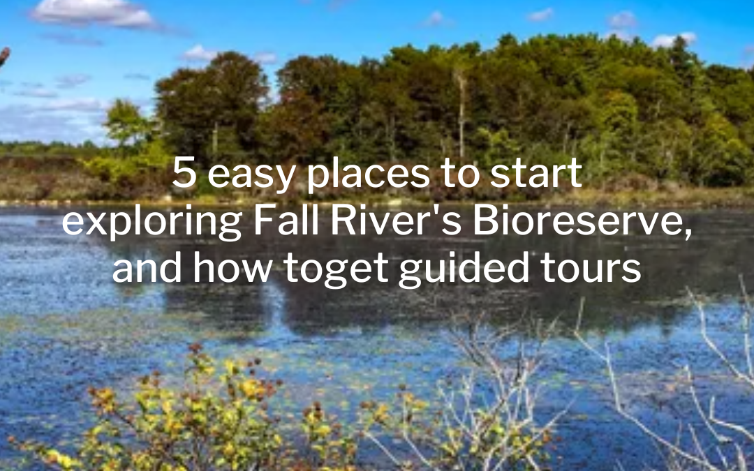 5 easy places to start exploring Fall River’s Bioreserve, and how to get guided tours