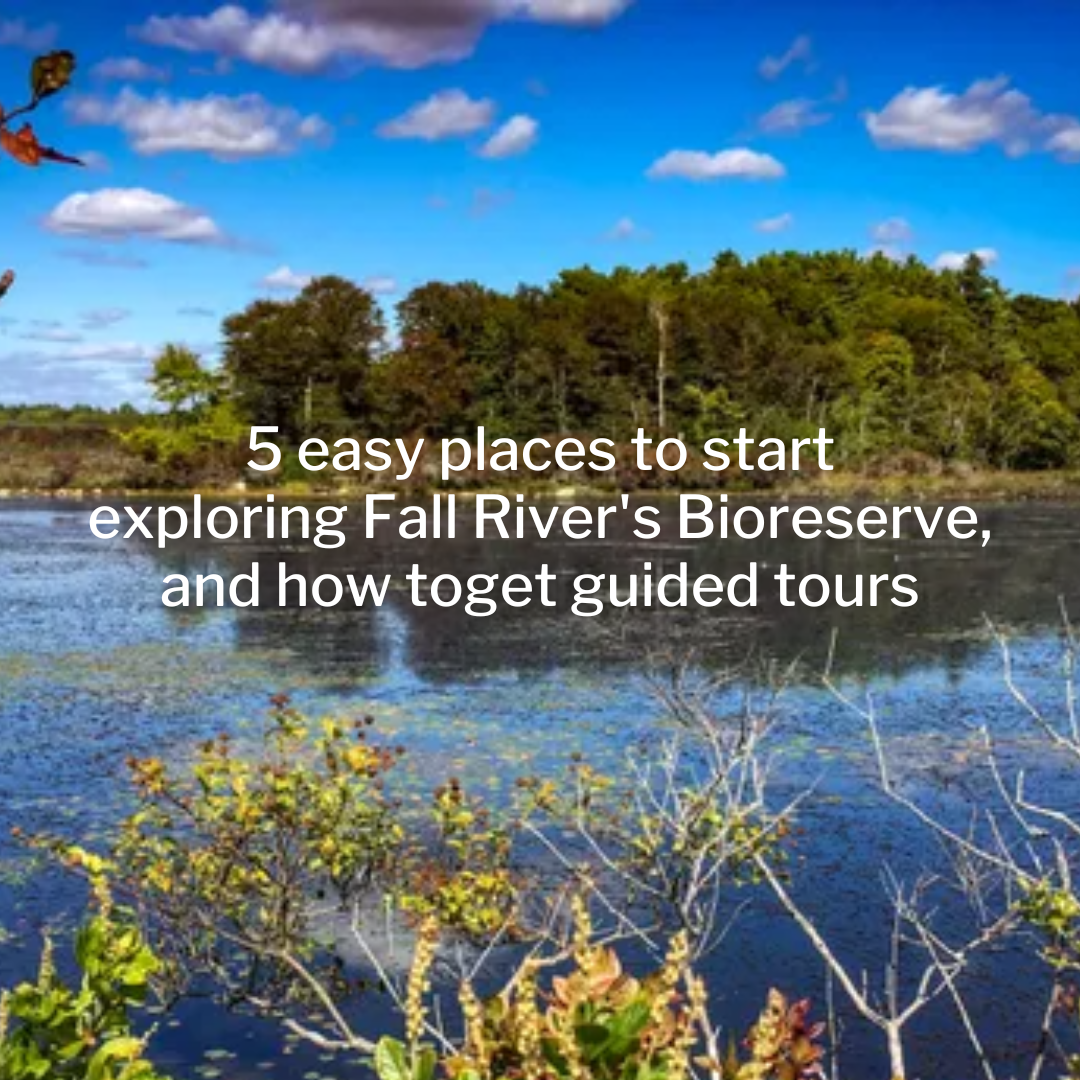 5 easy places to start exploring Fall River’s Bioreserve, and how to