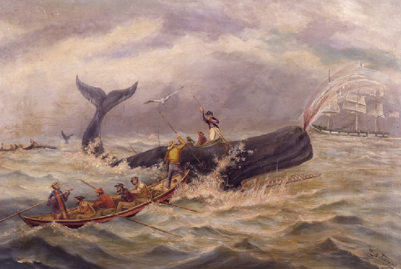 A Day in the Life of a Whaling Voyage
