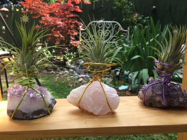 Wire Wrapped Crystal Air Plant Holders