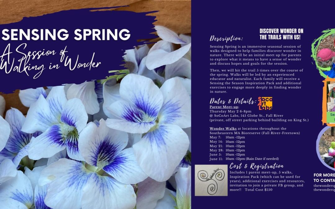 Sensing Spring- A Season of Walking in Wonder