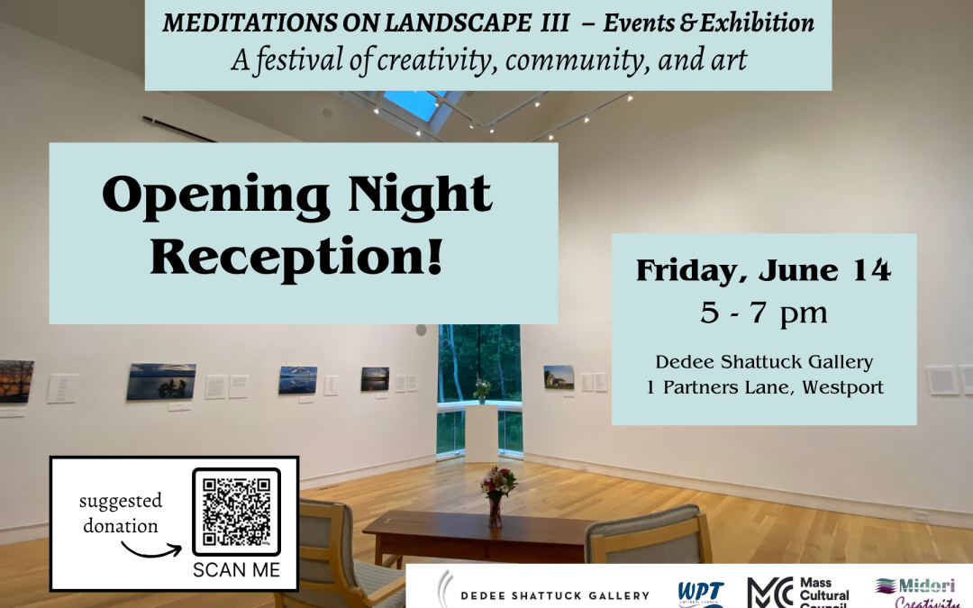 Opening Night Reception for Meditations on Landscape III