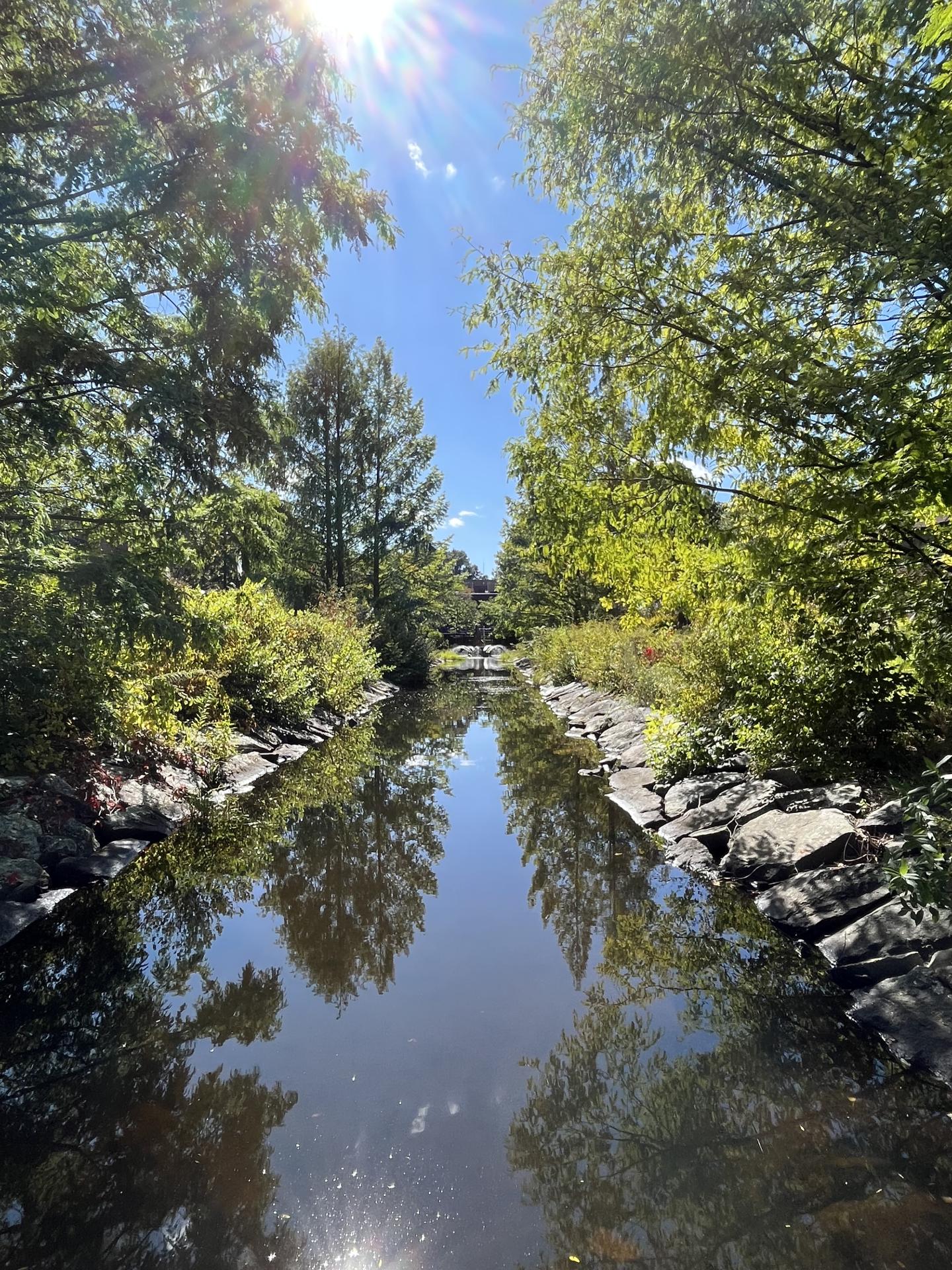 Bristol Community College Pond | Viva Fall River
