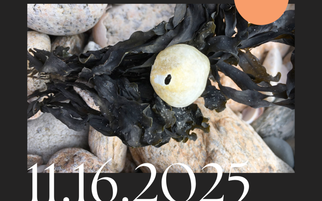 Creative Catalysts: A Celebration of Artistic Cross-Pollination Closing Reception