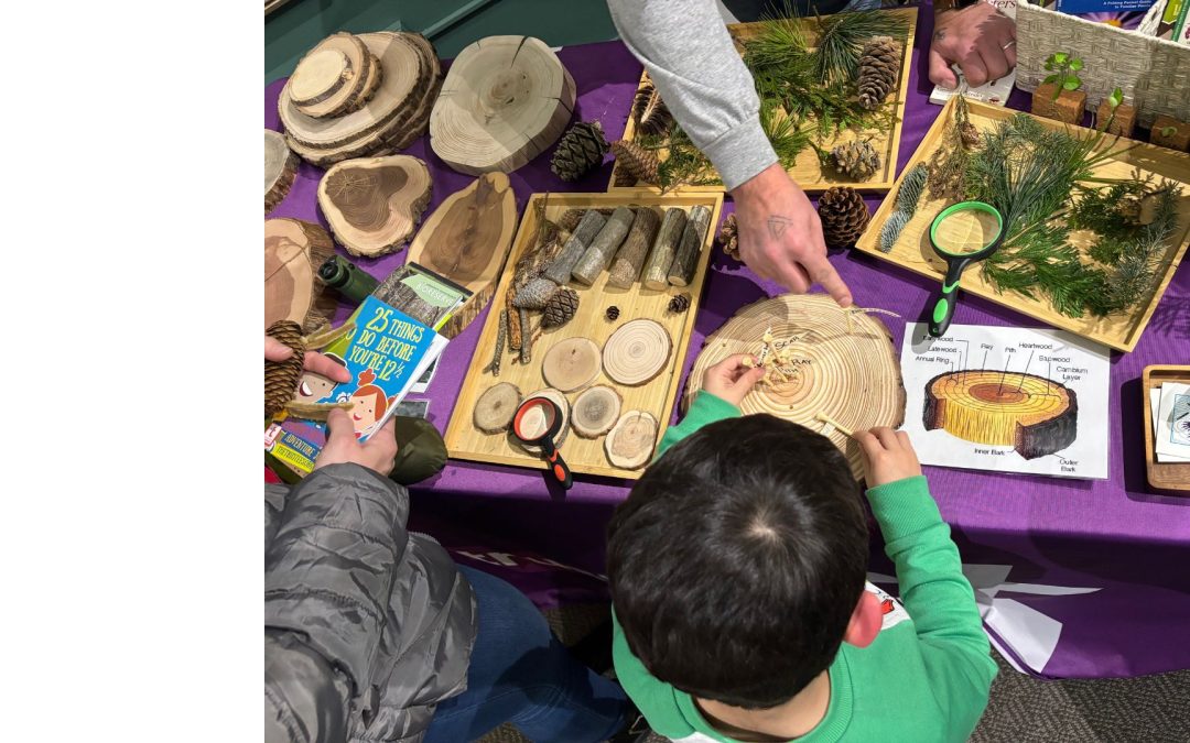 Nature Play & Learn: Evergreen Explorers