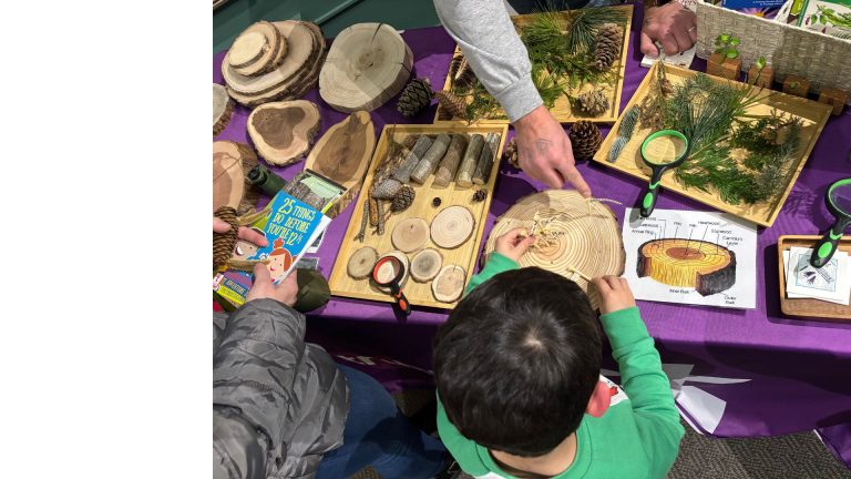 Nature Play & Learn: Evergreen Explorers