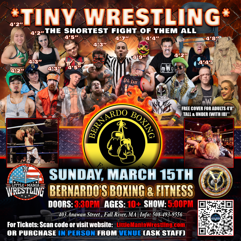 Mini Wrestling All Star