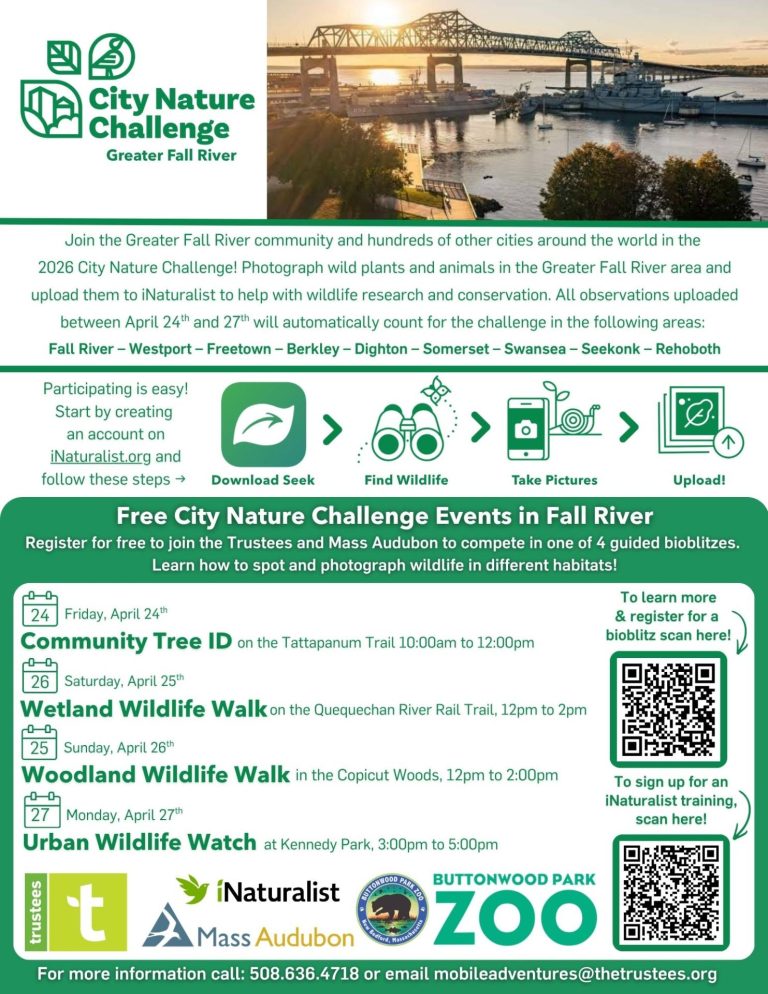 Freshwater Wildlife Walk on the Quequechan River Rail Trail