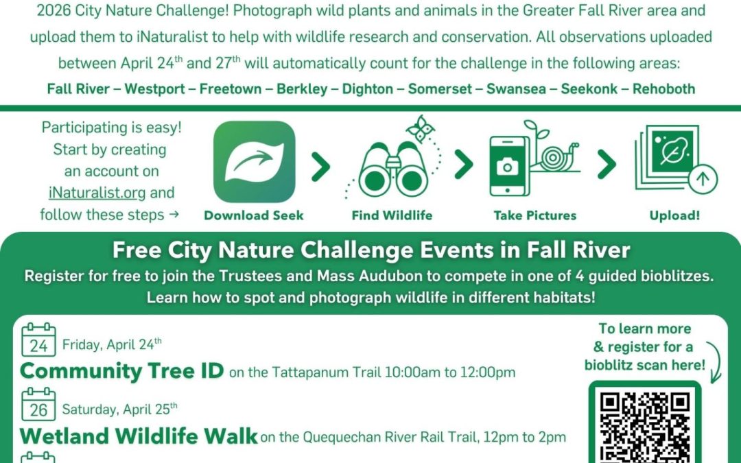 Community Tree ID Walk on the Tattapanum Trail