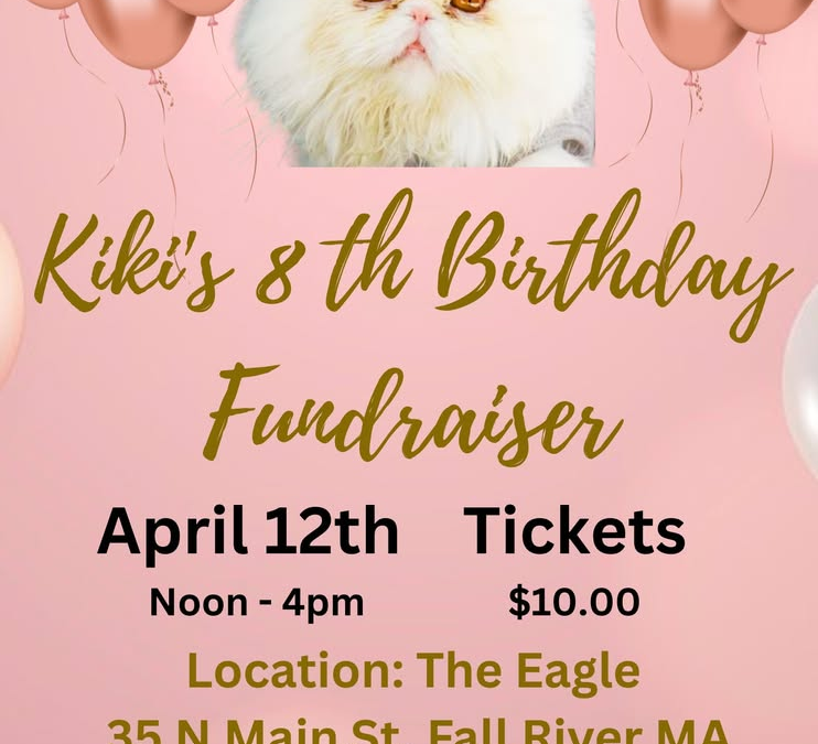 Kiki’s 8th Birthday – Bajah’s Rescue Fundraiser
