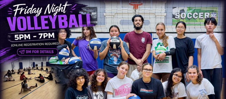 Friday Night Volleyball (weekly)