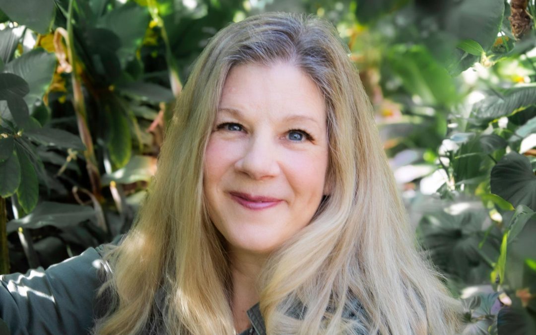 Dar Williams